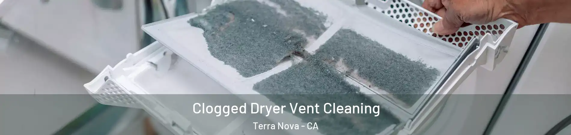 Clogged Dryer Vent Cleaning Terra Nova - CA
