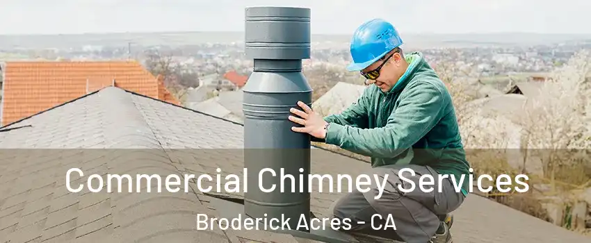 Commercial Chimney Services Broderick Acres - CA