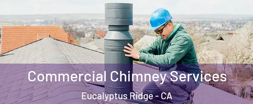 Commercial Chimney Services Eucalyptus Ridge - CA