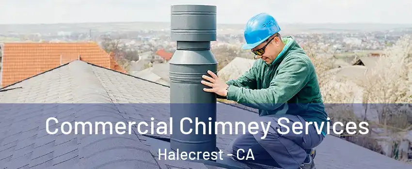 Commercial Chimney Services Halecrest - CA