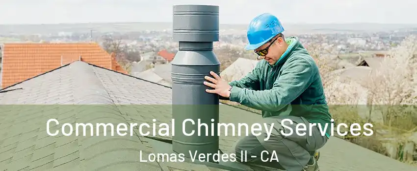 Commercial Chimney Services Lomas Verdes II - CA