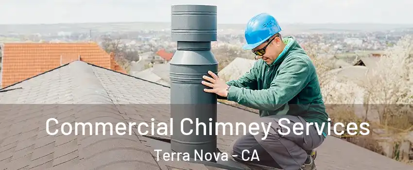 Commercial Chimney Services Terra Nova - CA