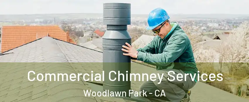 Commercial Chimney Services Woodlawn Park - CA