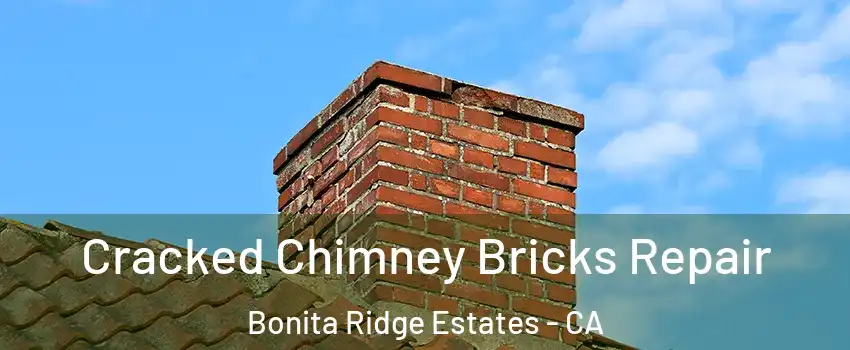 Cracked Chimney Bricks Repair Bonita Ridge Estates - CA