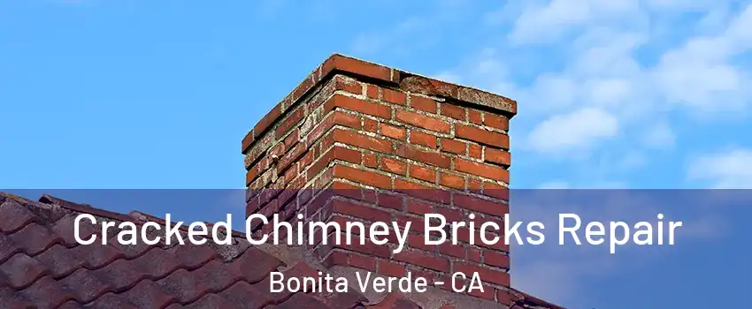 Cracked Chimney Bricks Repair Bonita Verde - CA