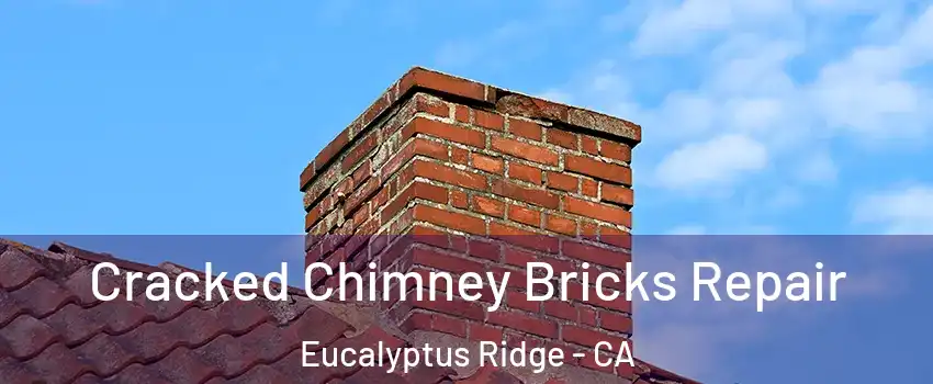 Cracked Chimney Bricks Repair Eucalyptus Ridge - CA