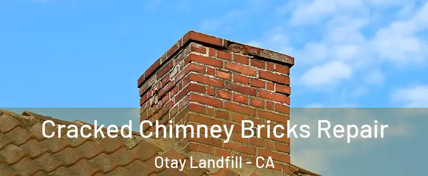 Cracked Chimney Bricks Repair Otay Landfill - CA