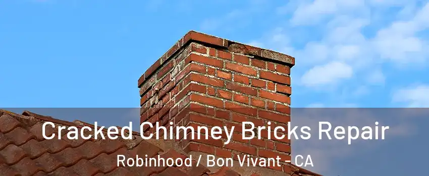 Cracked Chimney Bricks Repair Robinhood / Bon Vivant - CA
