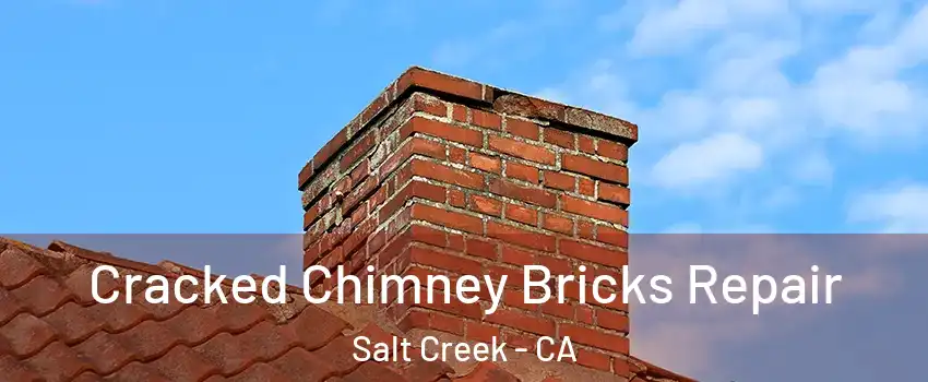 Cracked Chimney Bricks Repair Salt Creek - CA
