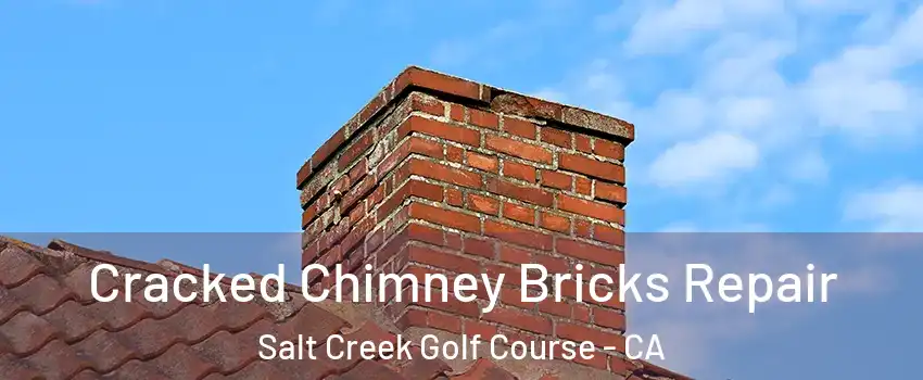 Cracked Chimney Bricks Repair Salt Creek Golf Course - CA