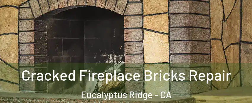 Cracked Fireplace Bricks Repair Eucalyptus Ridge - CA