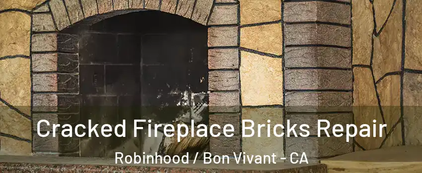 Cracked Fireplace Bricks Repair Robinhood / Bon Vivant - CA
