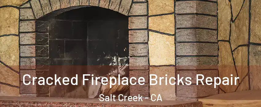 Cracked Fireplace Bricks Repair Salt Creek - CA
