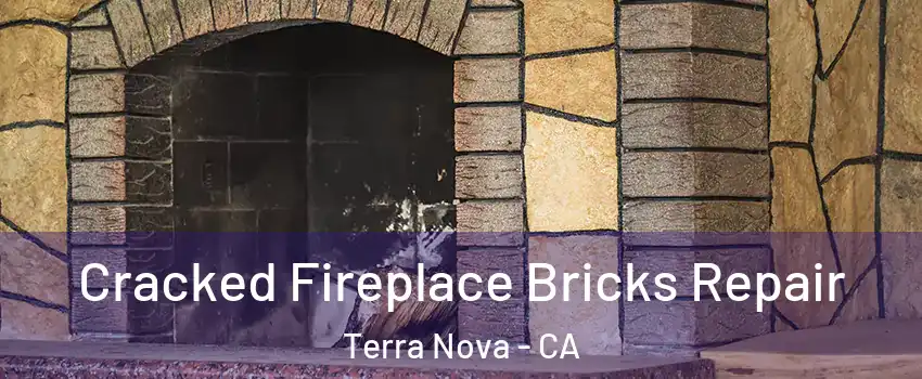 Cracked Fireplace Bricks Repair Terra Nova - CA