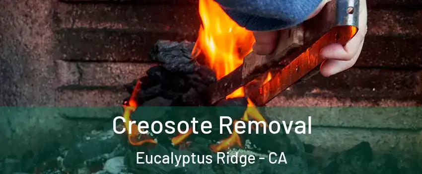 Creosote Removal Eucalyptus Ridge - CA