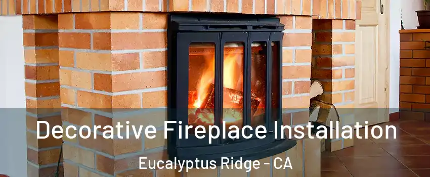 Decorative Fireplace Installation Eucalyptus Ridge - CA