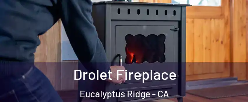 Drolet Fireplace Eucalyptus Ridge - CA