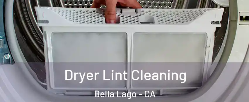 Dryer Lint Cleaning Bella Lago - CA