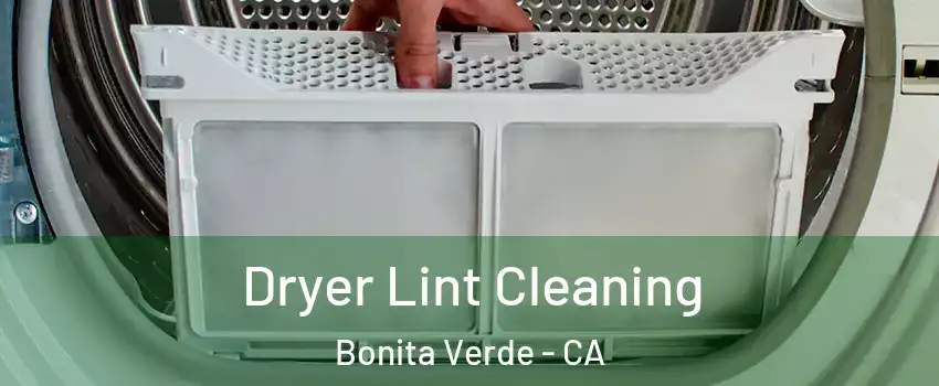 Dryer Lint Cleaning Bonita Verde - CA