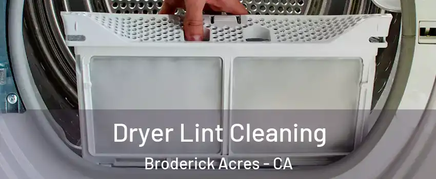Dryer Lint Cleaning Broderick Acres - CA
