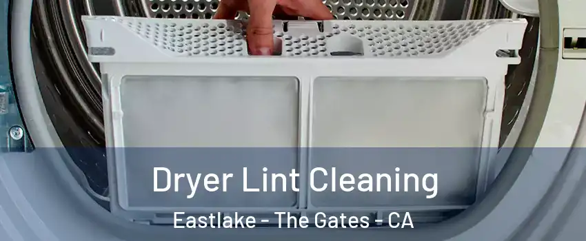 Dryer Lint Cleaning Eastlake - The Gates - CA