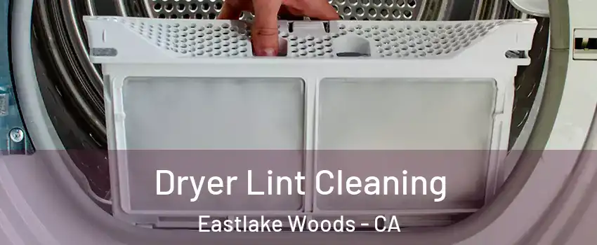 Dryer Lint Cleaning Eastlake Woods - CA