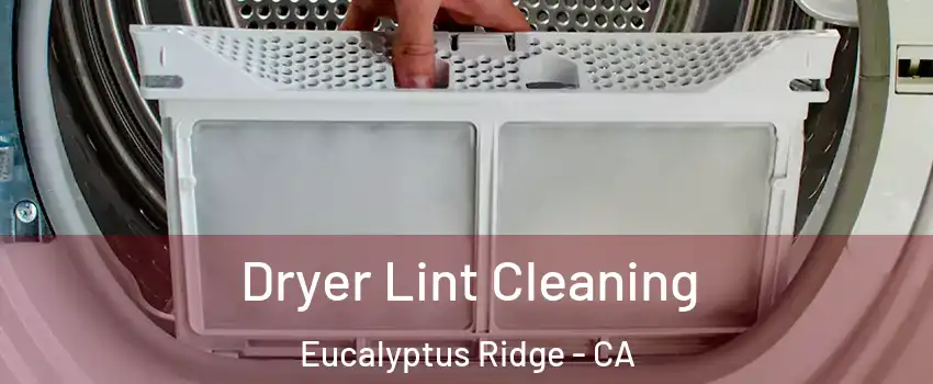 Dryer Lint Cleaning Eucalyptus Ridge - CA