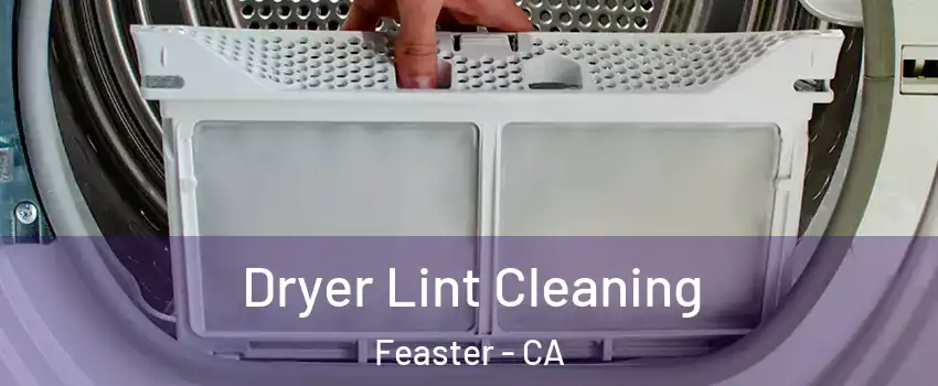 Dryer Lint Cleaning Feaster - CA