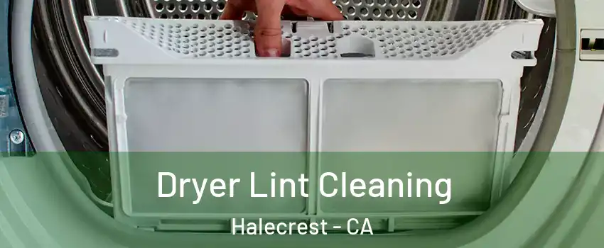 Dryer Lint Cleaning Halecrest - CA