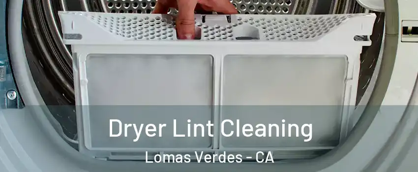 Dryer Lint Cleaning Lomas Verdes - CA