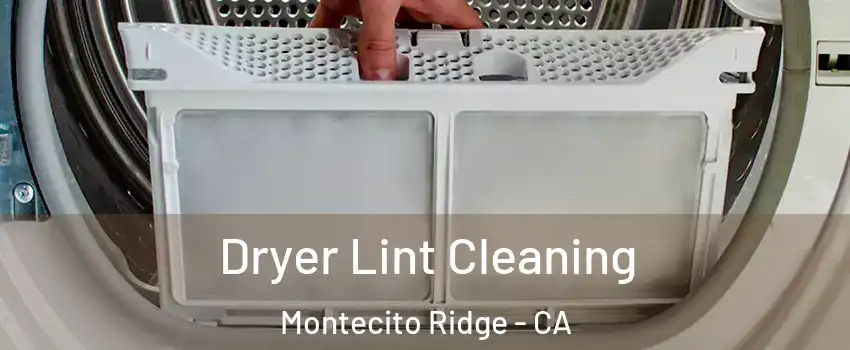 Dryer Lint Cleaning Montecito Ridge - CA