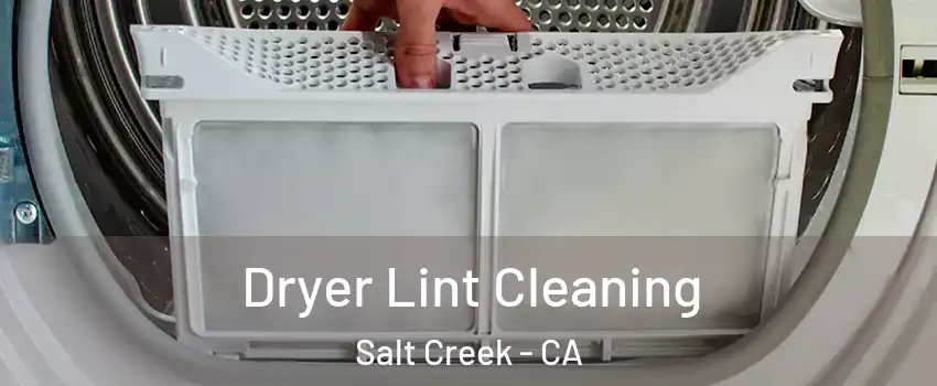Dryer Lint Cleaning Salt Creek - CA