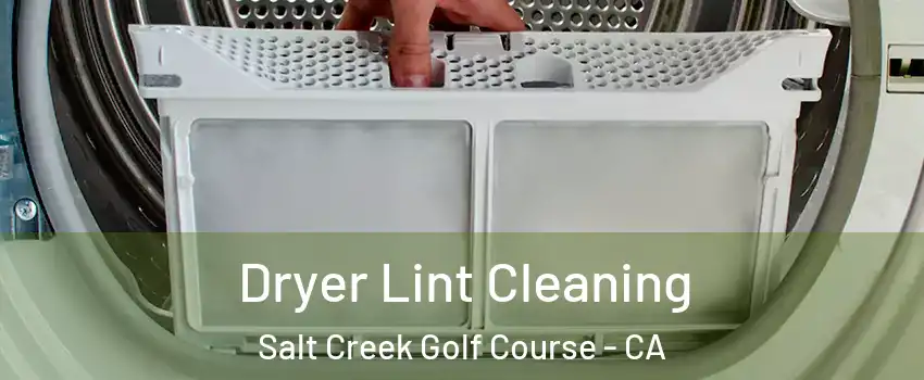 Dryer Lint Cleaning Salt Creek Golf Course - CA
