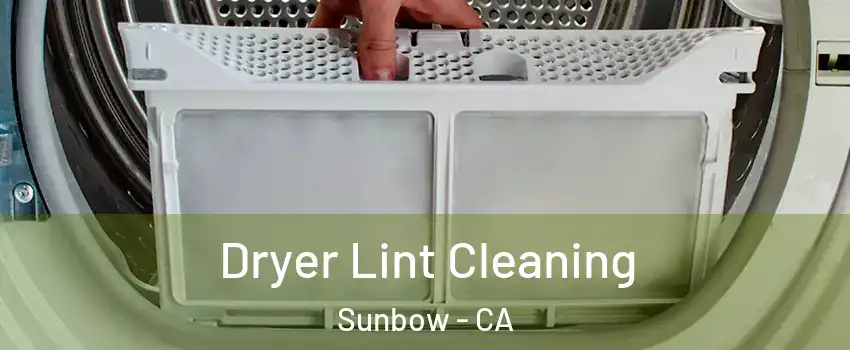 Dryer Lint Cleaning Sunbow - CA