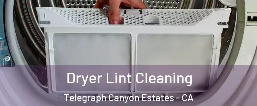 Dryer Lint Cleaning Telegraph Canyon Estates - CA