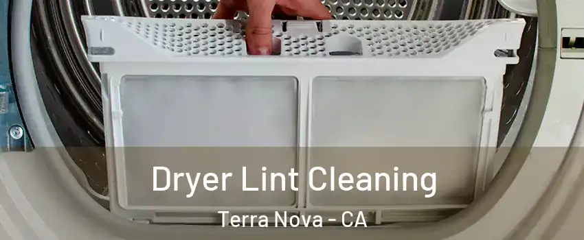Dryer Lint Cleaning Terra Nova - CA