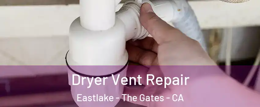 Dryer Vent Repair Eastlake - The Gates - CA