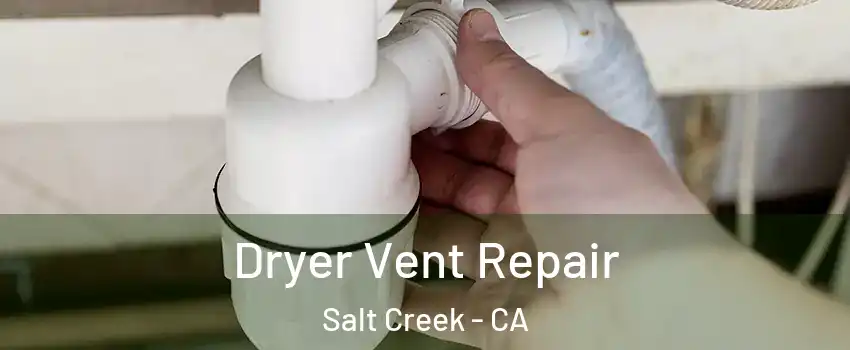 Dryer Vent Repair Salt Creek - CA