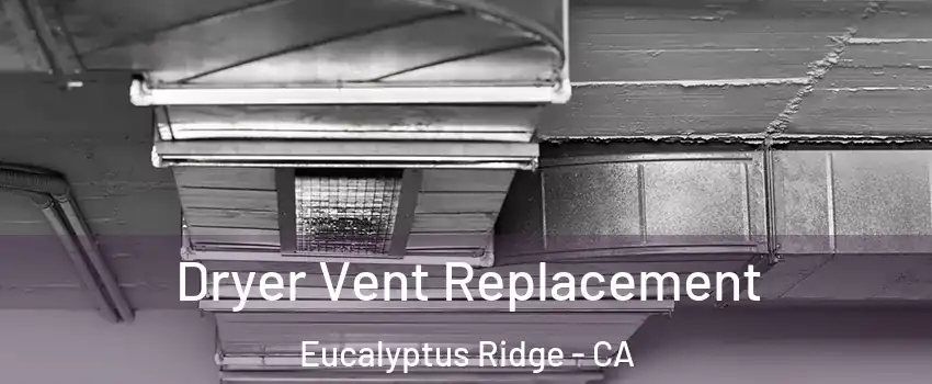 Dryer Vent Replacement Eucalyptus Ridge - CA
