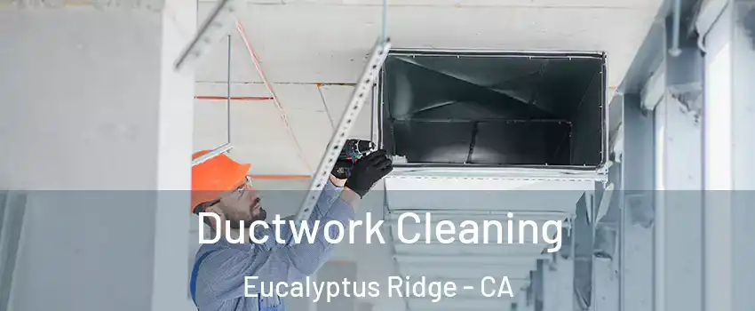 Ductwork Cleaning Eucalyptus Ridge - CA