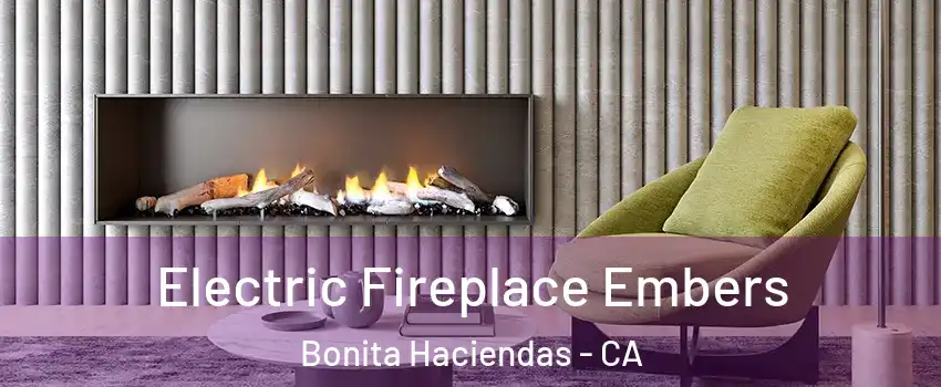 Electric Fireplace Embers Bonita Haciendas - CA