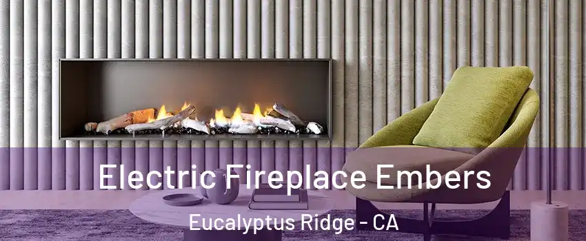 Electric Fireplace Embers Eucalyptus Ridge - CA