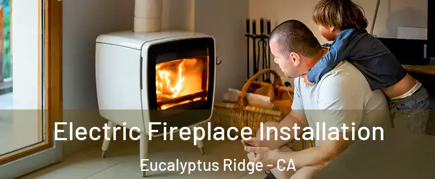 Electric Fireplace Installation Eucalyptus Ridge - CA