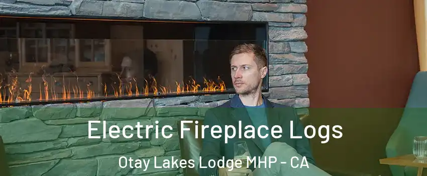 Electric Fireplace Logs Otay Lakes Lodge MHP - CA