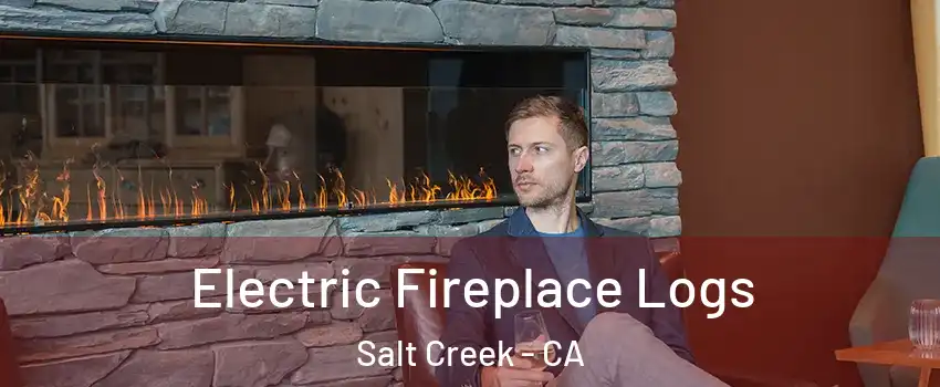 Electric Fireplace Logs Salt Creek - CA