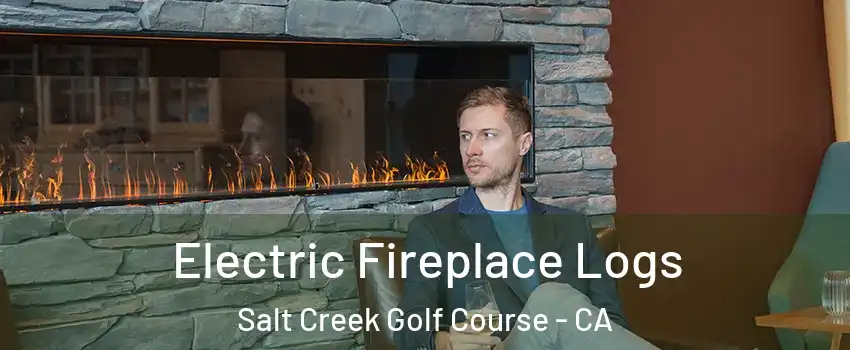 Electric Fireplace Logs Salt Creek Golf Course - CA
