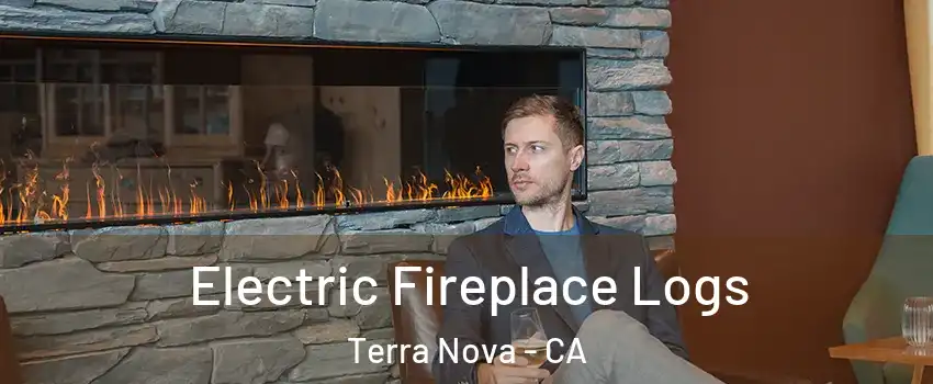 Electric Fireplace Logs Terra Nova - CA