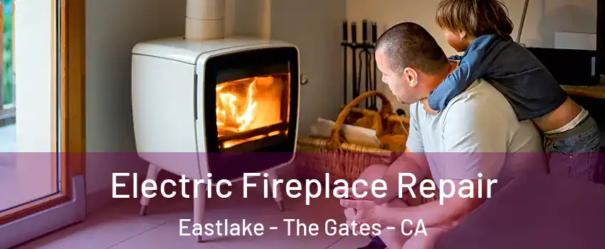 Electric Fireplace Repair Eastlake - The Gates - CA