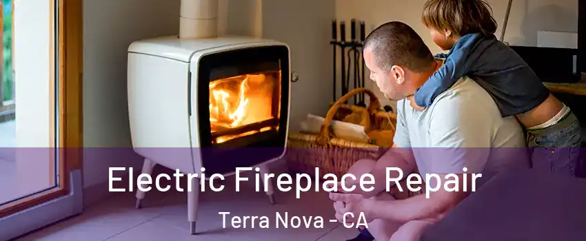 Electric Fireplace Repair Terra Nova - CA