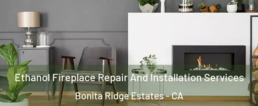 Ethanol Fireplace Repair And Installation Services Bonita Ridge Estates - CA